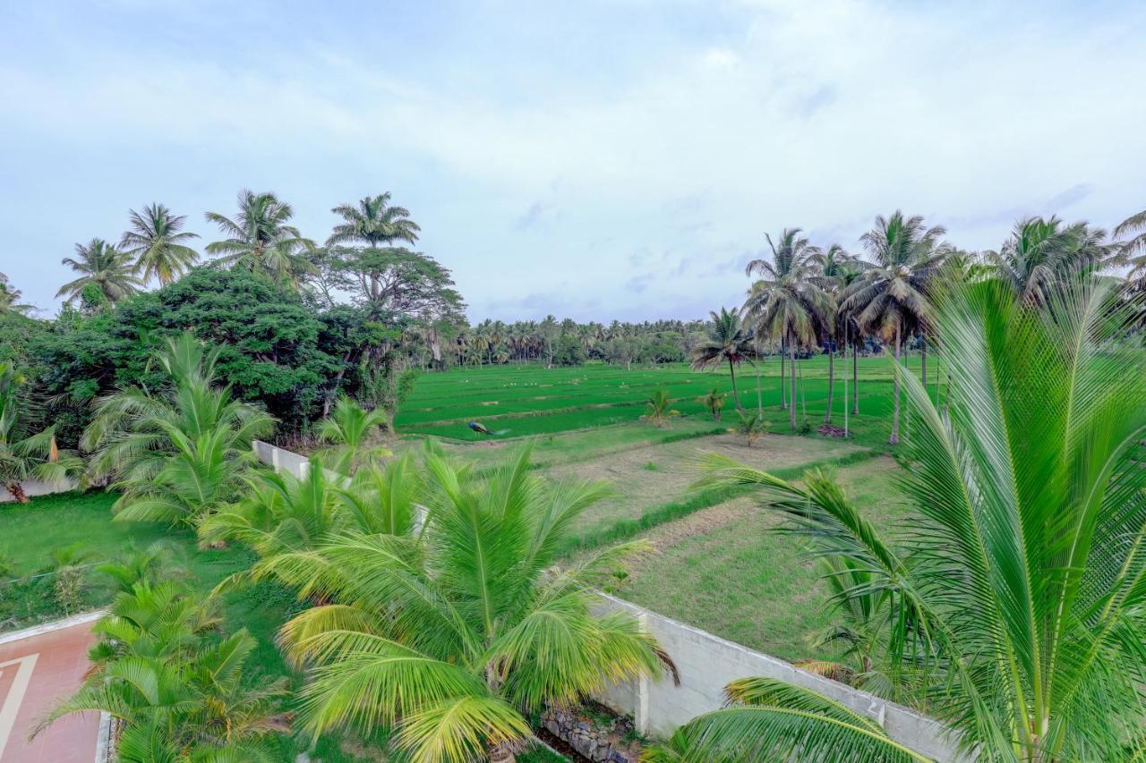 Brindavan Garden Resort & Spa Krishnarajasagara Kültér fotó